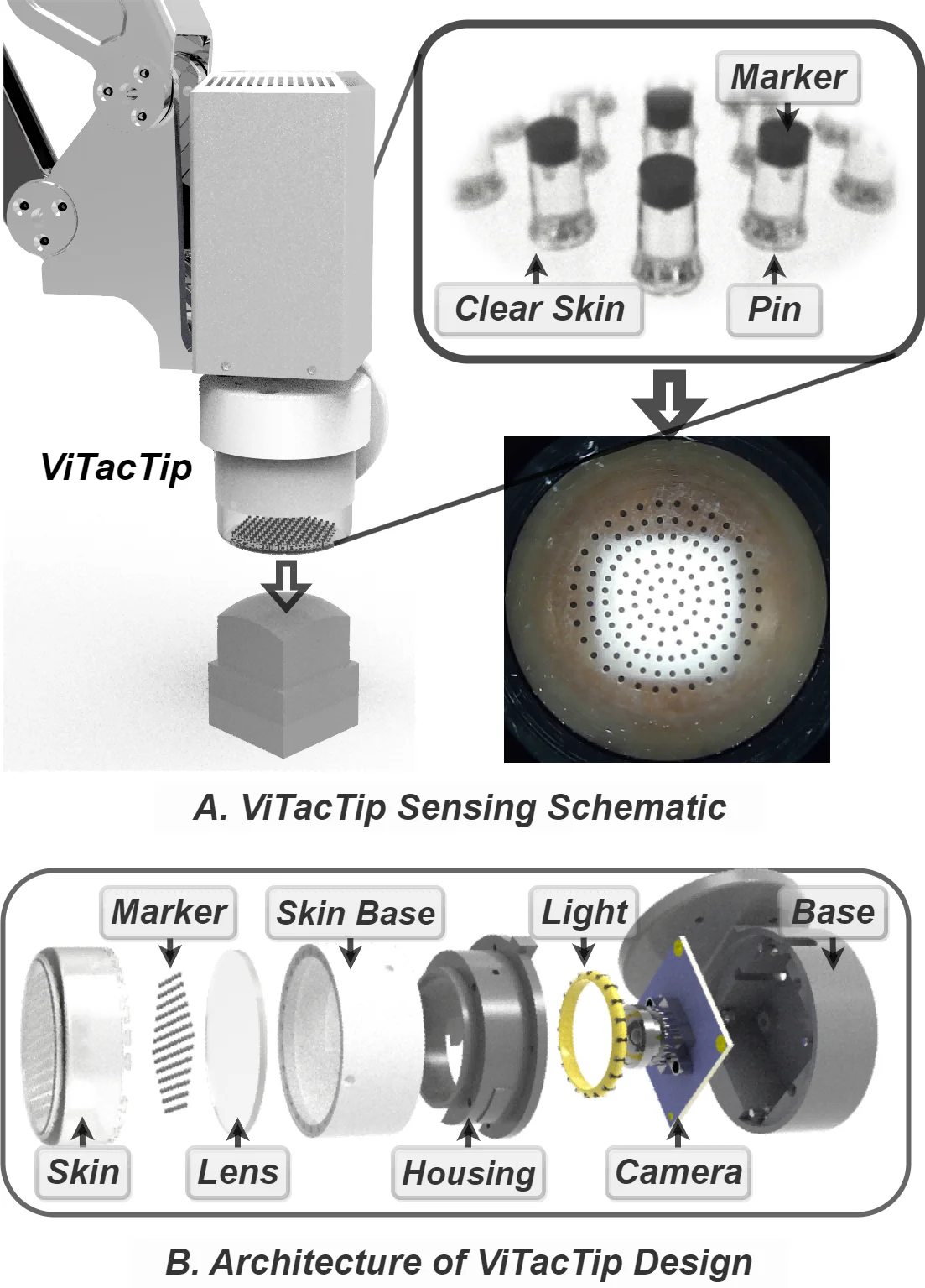 ViTacTip 透明仿生视觉触觉指端 题图