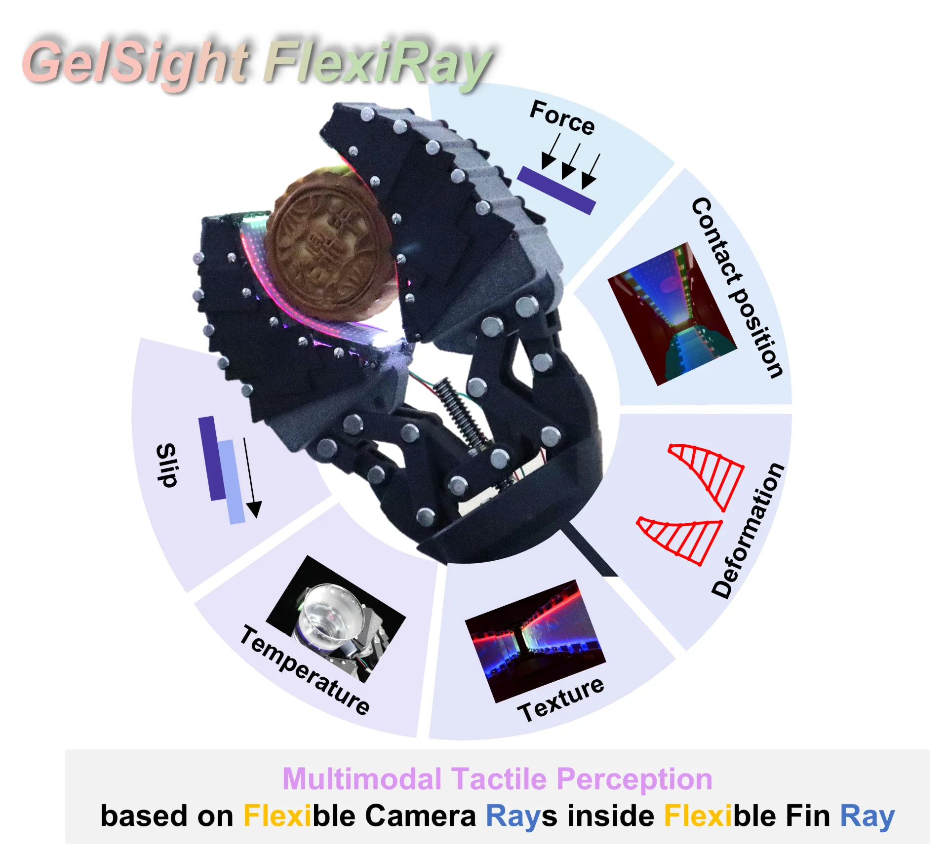 GelSight FlexiRay 全覆盖柔顺视觉触觉指 题图